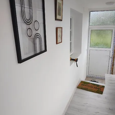 Apartment Cactus House