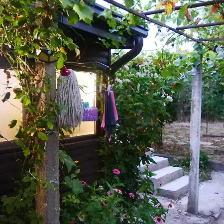 Cactus House * Ovchartsi (Stara Zagora)