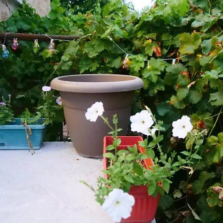 Cactus House * Ovchartsi (Stara Zagora)