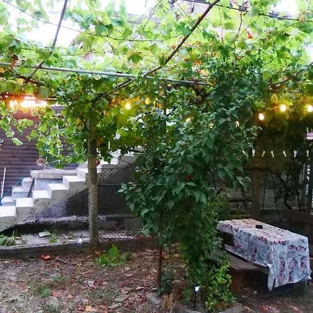 Cactus House * Ovchartsi (Stara Zagora)