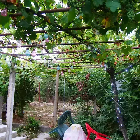 Cactus House Apartment