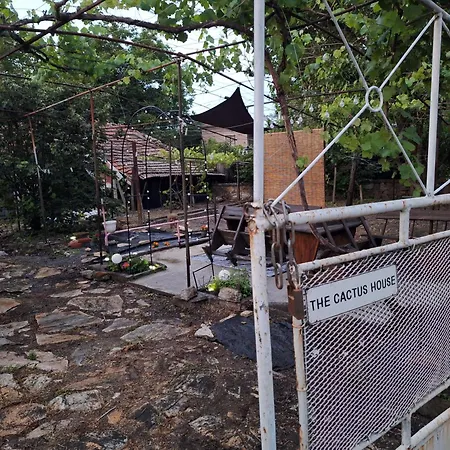 Cactus House * Ovchartsi (Stara Zagora)