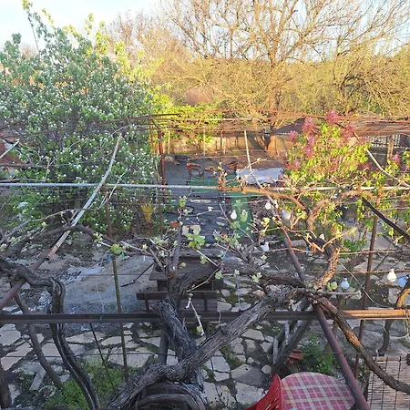 Cactus House *