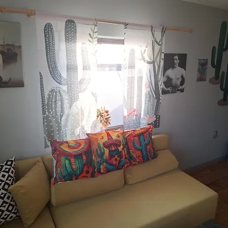 Cactus House